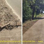 Einsatz im Brachter Wald im Juni 2025 – Heimatliebe Brüggen in Aktion