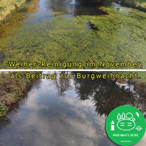 Gepflegter Burgweiher Brüggen nach Einsatz – November 2025