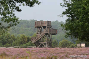 Neuer Aussichtsturm an der Wachholderheide im Elmpter Schwalmbruch – erbaut 2023