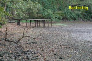 Bootssteg am See bei Brüggen am Niederrhein im Abendlicht