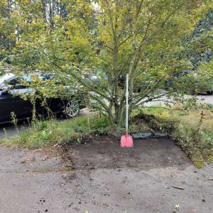 Parkplatz Brachter Wald