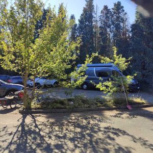 Parkplatz Brachter Wald