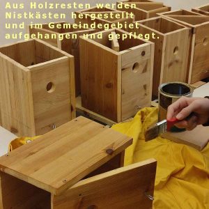 Heimatliebe Brüggen - Nistkastenbau