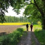Wandern in Brüggen – Naturpfad im Naturpark Maas-Schwalm-Nette