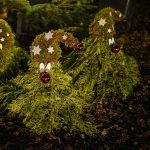 Brüggener Burgweihnacht 2024 – festlich beleuchtete Stände am Burginnenhof