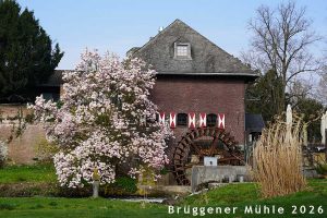 Brüggener Mühle 03-2026