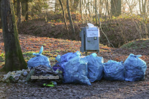 Gesammelter Unrat Diergartscher See – Jahresende 2018