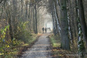 Offene Moorlandschaft im Elmpter Schwalmbruch mit Heidepflanzen und Wasserfläche