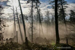 Elmpter Schwalmbruch im Winter – Moor im Naturpark Maas-Schwalm-Nette bei Brüggen