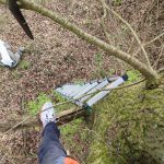 Fledermauskasten an der Schwalm – Nistkasten-Aktion Brüggen 2026