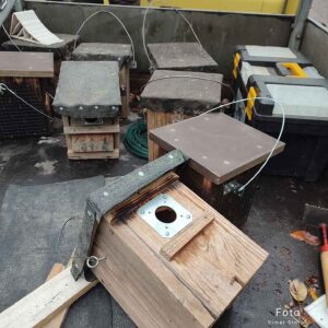 Geöffneter Nistkasten zur jährlichen Kontrolle